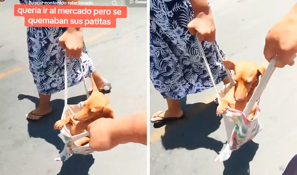 La creativa idea fue aplaudida por los usuarios en redes sociales. Foto: composición LR/TikTok/@artemetaluk La creativa idea fue aplaudida por los usuarios en redes sociales. Foto: composición LR/TikTok/@artemetaluk