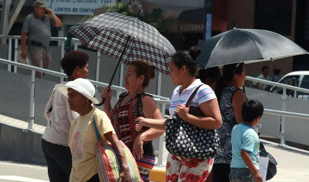 Senamhi calificó el verano 2024 como atípico. Foto: Andina