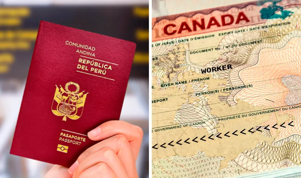 El precio de solicitud de la visa de turista es de 100 dólares canadienses. Foto: composición LR/El Heraldo