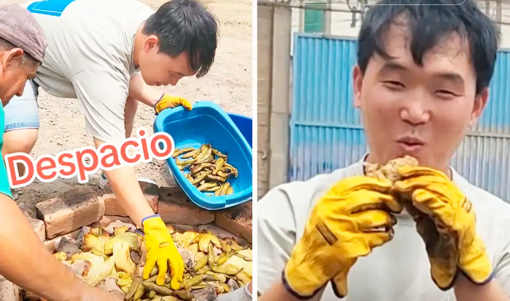 El asiático no pensó que era tan laborioso la preparación de la pachamanca. Foto: composición LR/TikTok/@coreano_en_lima El asiático no pensó que era tan laborioso la preparación de la pachamanca. Foto: composición LR/TikTok/@coreano_en_lima