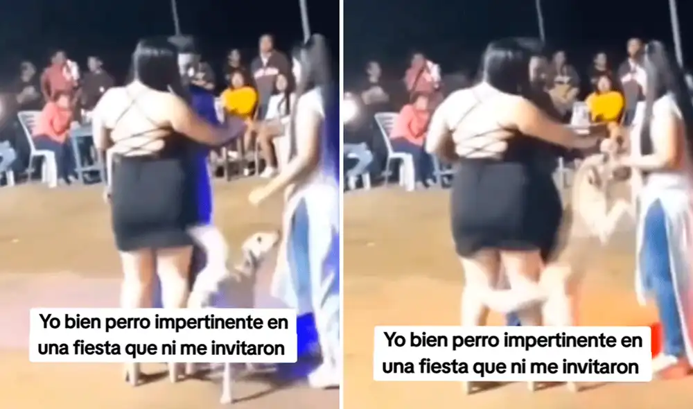 El video generó los aplausos de los amantes de los animales. Foto: composición LR/TikTok/@maykcoool El video generó los aplausos de los amantes de los animales. Foto: composición LR/TikTok/@maykcoool