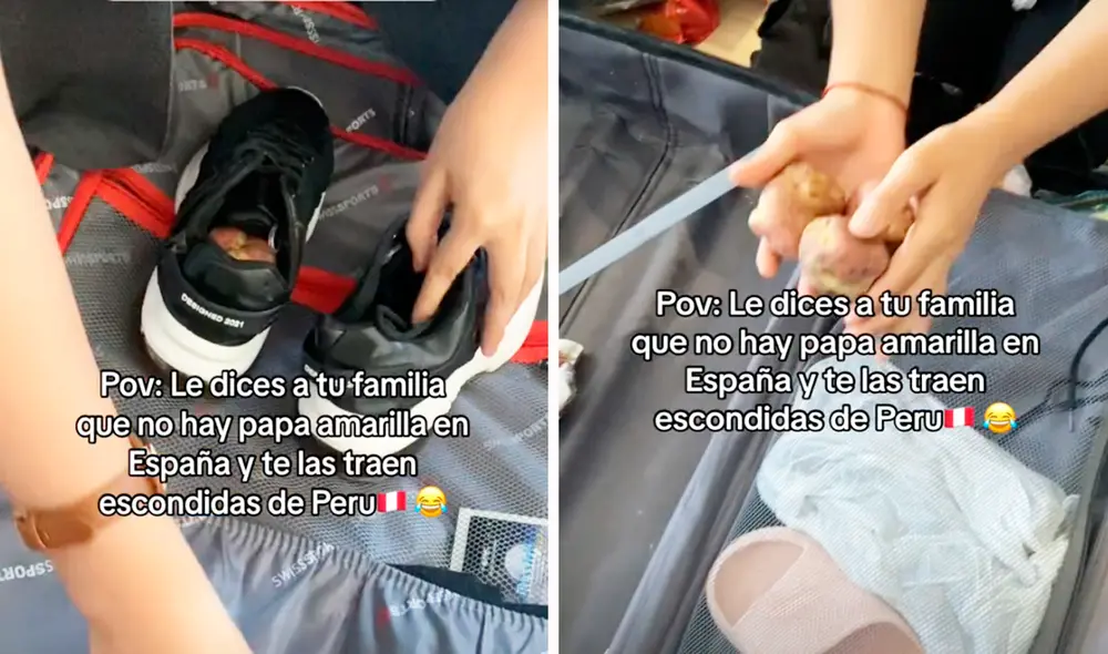 Los peruanos idearon una forma poco convencional de trasladar la papa amarilla en una maleta.  Foto: composición LR/@el.team.ye/TikTok