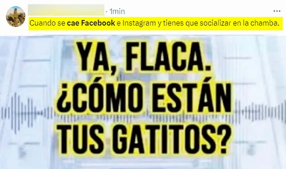 Los cibernautas no tardaron en crear sus divertidos memes ante la caída de Meta. Foto: X