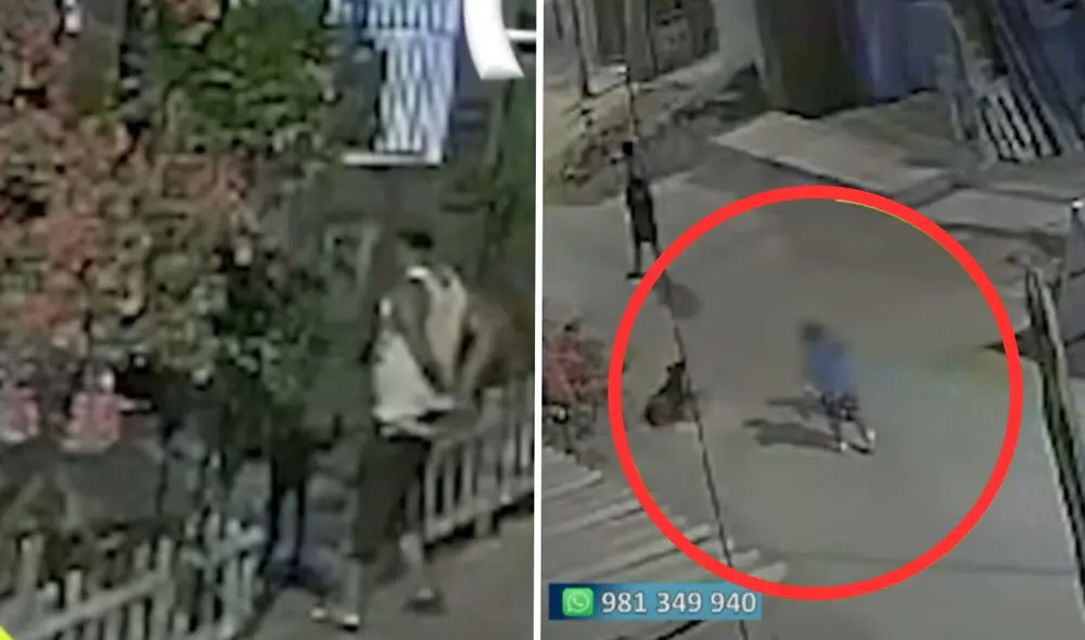 La persona que cuidaba al can teme represalias de parte del agresor. Foto: composición LR/captura de pantalla/Panamericana. Video: Panamericana