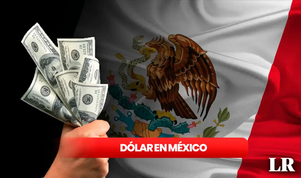 Precio del dólar en México para hoy, 8 de marzo. Foto: composición LR/AFP/Freepik