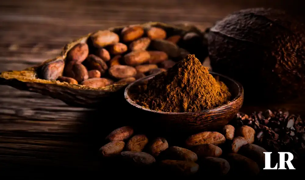 De acuerdo a uno de los autores del estudio, "gracias a las redes político-económicas interconectadas" se dio la mezcla genética que dio origen a los distintos tipos de cacao. Foto: ABC De acuerdo a uno de los autores del estudio, "gracias a las redes político-económicas interconectadas" se dio la mezcla genética que dio origen a los distintos tipos de cacao. Foto: ABC