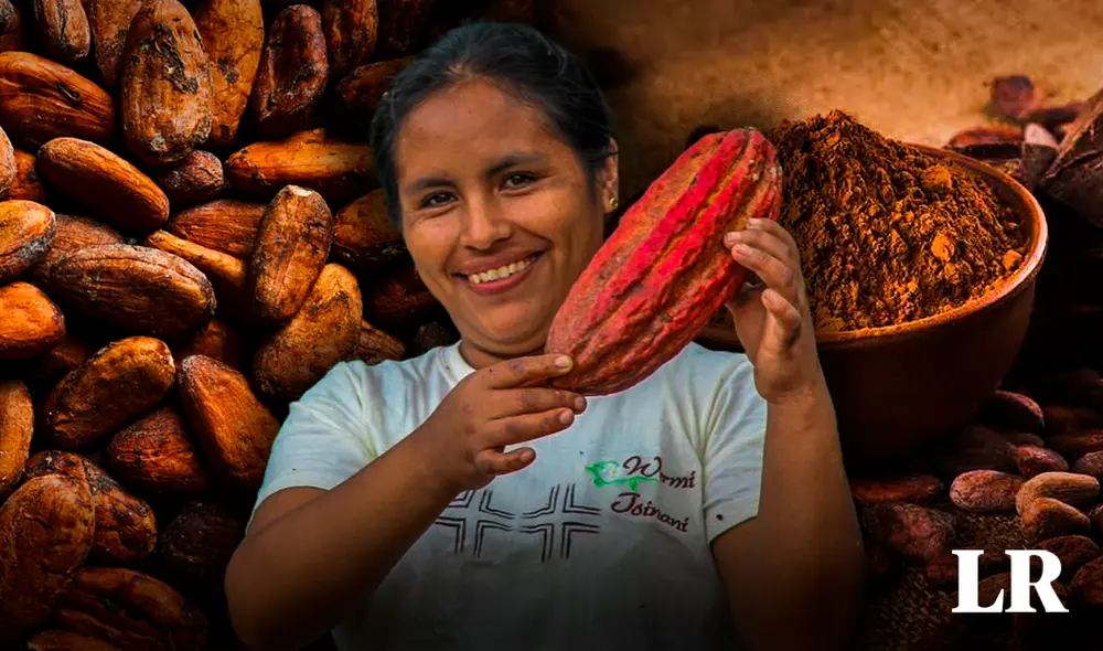 El cacao incrementó su precio de US$2.000 a US$6.523 por tonelada en el último año y medio. Foto: composición LR/Anahuac/MIDAGRI El cacao incrementó su precio de US$2.000 a US$6.523 por tonelada en el último año y medio. Foto: composición LR/Anahuac/MIDAGRI