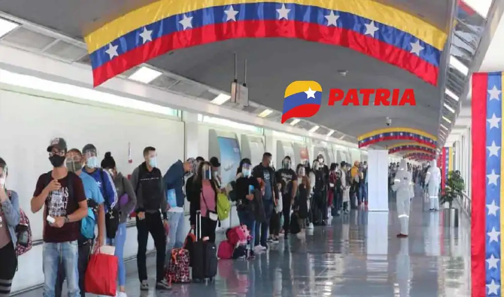 La mayoría de bonos de la Patria se entrega por medio de la plataforma del mismo nombre. Foto: composición LR/Efecto Cocuyo/Patria La mayoría de bonos de la Patria se entrega por medio de la plataforma del mismo nombre. Foto: composición LR/Efecto Cocuyo/Patria
