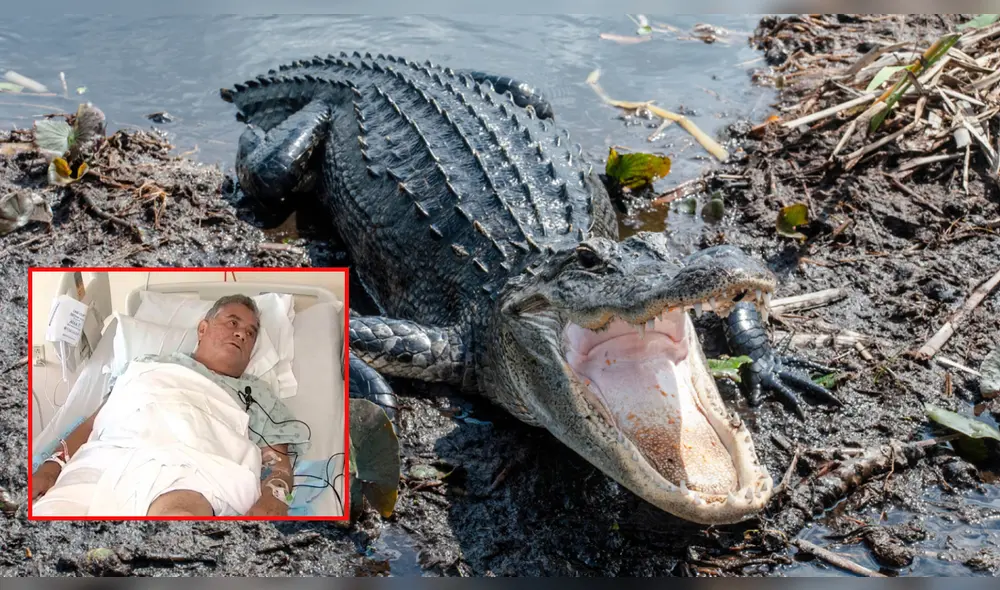 Colombiano de 68 años es atacado por un cocodrilo cuando navegaba por Florida. Foto: composición LR /Vanguardia