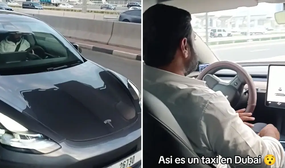 Clip tiene más de 48.000 visualizaciones en TikTok. Foto: composición LR/bengiprisma/TikTok - Video: bengiprisma/TikTok