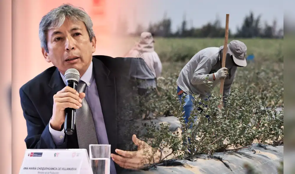 Ley Chlimper. Pese a sus problemas, las exportaciones agrarias en enero sumaron ventas por US$1.096 millones, un crecimiento de 24,5% respecto del mismo periodo del año 2023, según Midagri. Foto: composición/La República