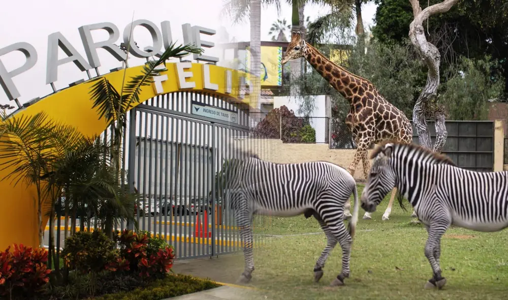 El Parque de las Leyendas tiene dos sedes. Foto: composición Fabrizio Oviedo/LR/Difusión El Parque de las Leyendas tiene dos sedes. Foto: composición Fabrizio Oviedo/LR/Difusión