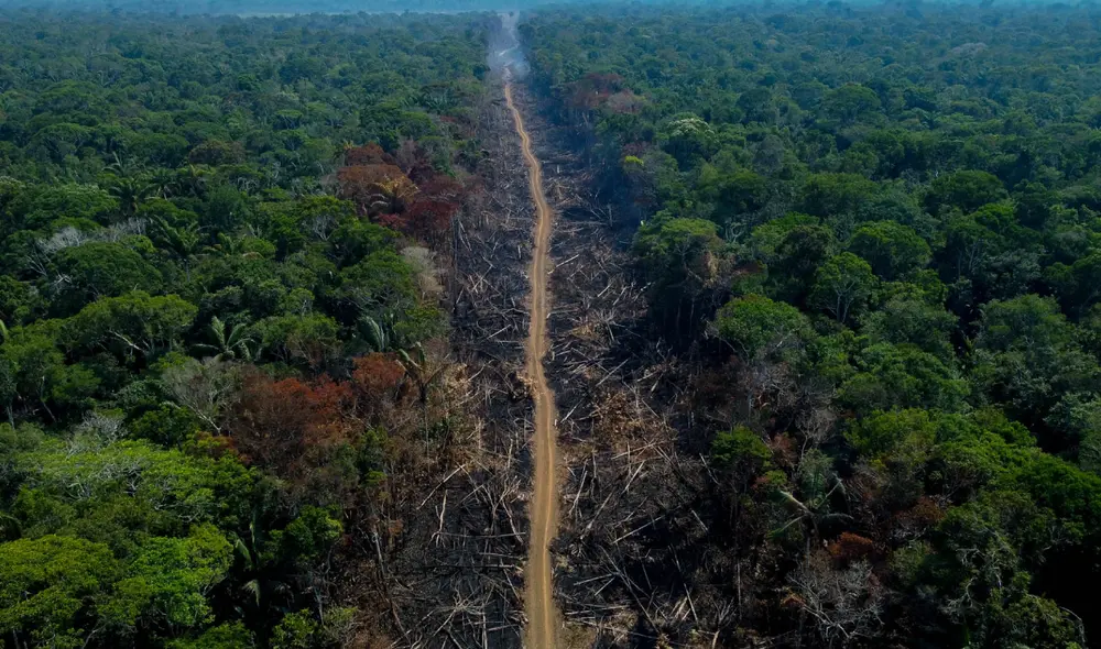 El 60% de bosques tropicales del mundo se encuentra en América del Sur. Foto: Michael Dantas / FotoDoc