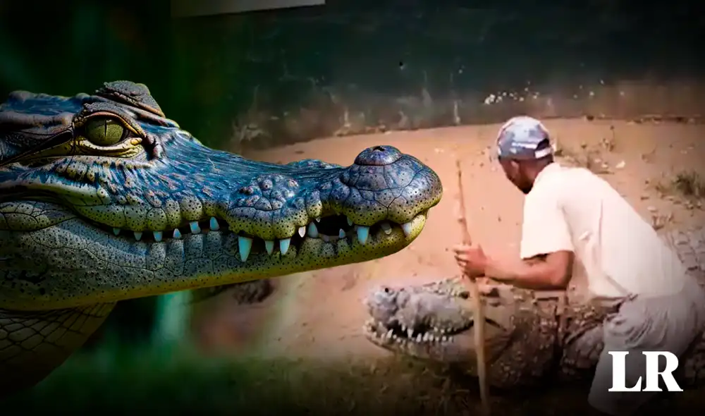 De acuerdo con el último ranking que publicó la web La Voz, el cocodrilo del rio Nilo presenta una fuerza de mordida de hasta 5.000 psi. Foto: Composición LR/The Sun/El Español De acuerdo con el último ranking que publicó la web La Voz, el cocodrilo del rio Nilo presenta una fuerza de mordida de hasta 5.000 psi. Foto: Composición LR/The Sun/El Español