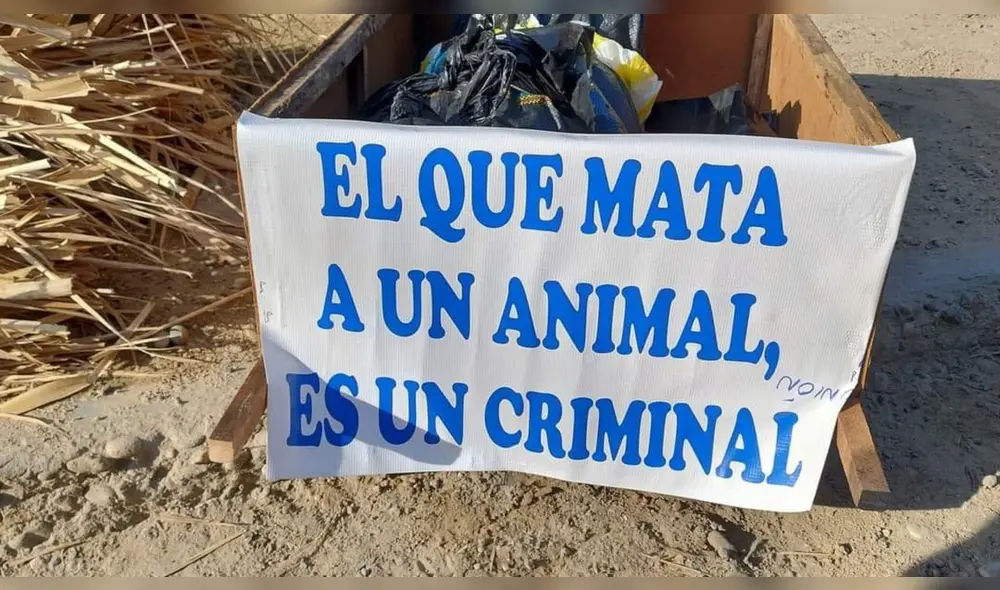 Diversos gremios animalistas se han pronunciado a través de las redes sociales para exigir justicia por Luna. Foto: Patitas SOS Piura Diversos gremios animalistas se han pronunciado a través de las redes sociales para exigir justicia por Luna. Foto: Patitas SOS Piura