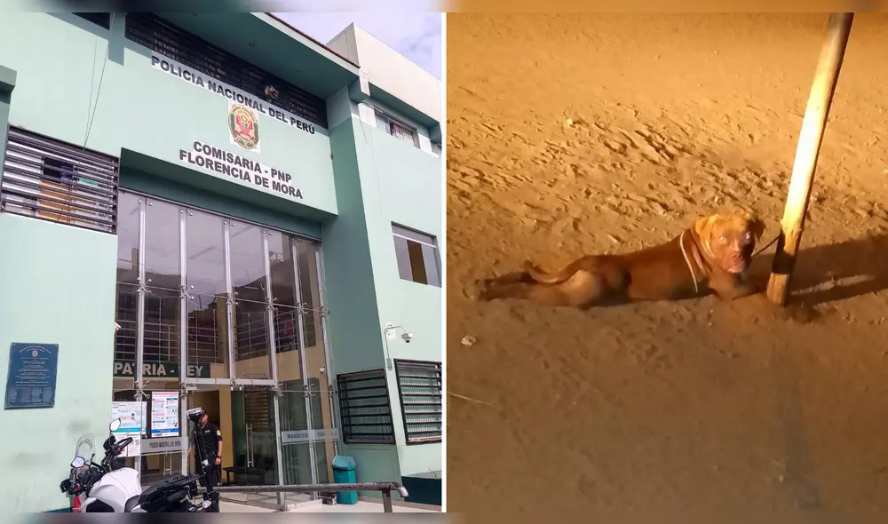 Madre señaló que el estado psicológico de la niña no es bueno. Foto: La República