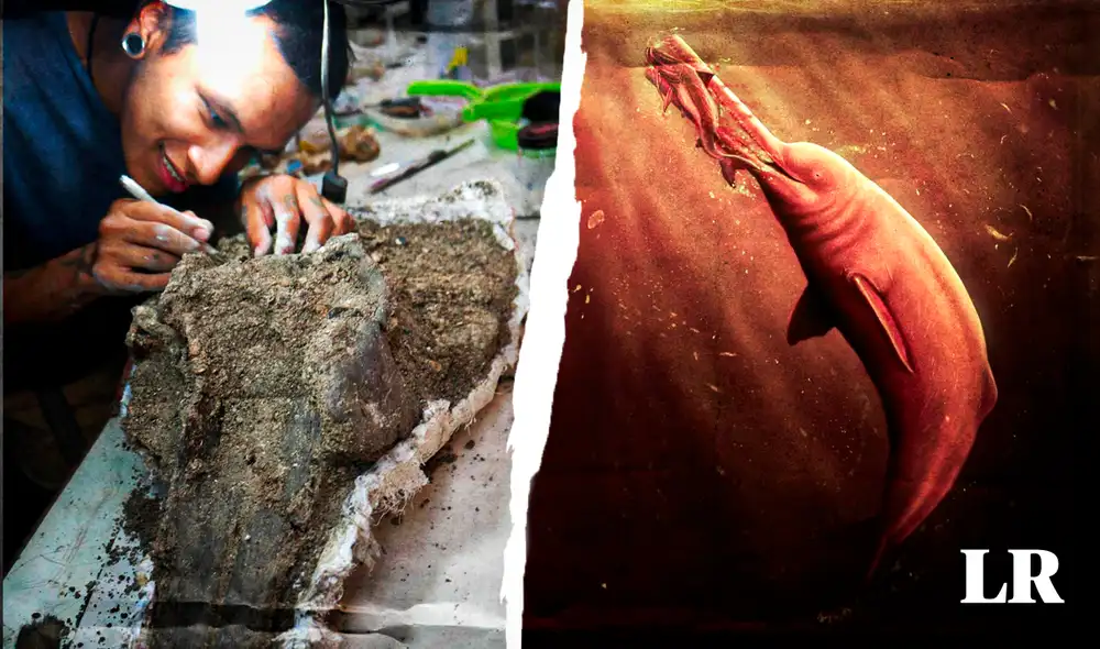 Los indicios del hallazgo del Pebanista yacuruna se dieron a partir de una expedición en 2018. Foto: composición de Gerson Cardoso/LR/Aldo Benites-Palomino