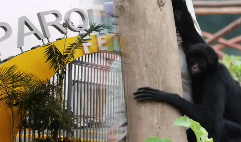 Parque de las Leyendas funciona desde 1964. Foto: composición La República