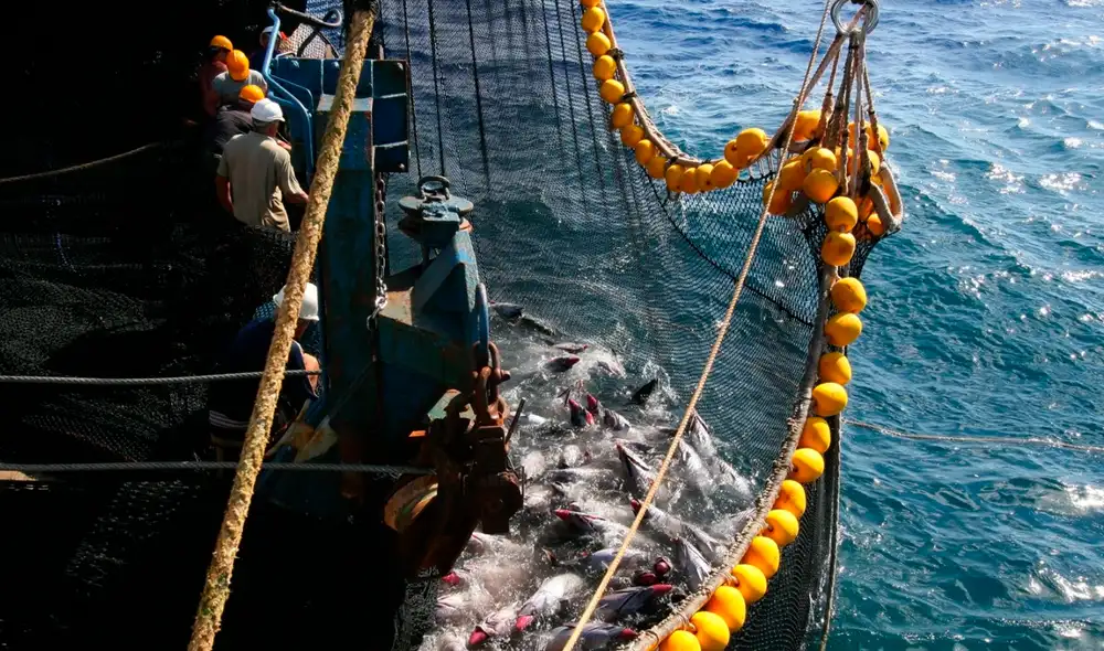 Foto: Andre Baertschi