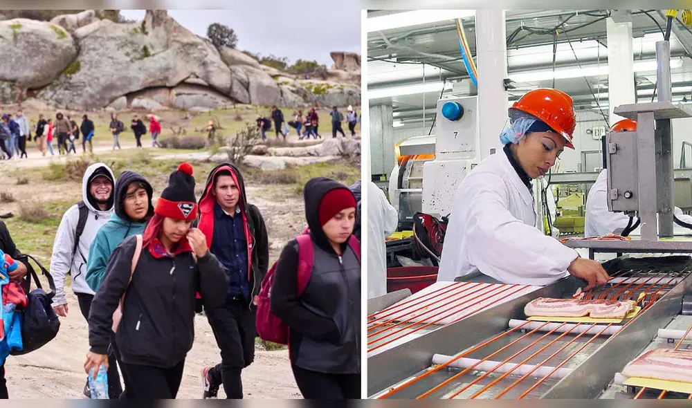 Multinacional busca brindar empleo y otros servicios más a trabajadores migrantes en Estados Unidos. Foto: Composición LR/The New York Post/The Food Tech Multinacional busca brindar empleo y otros servicios más a trabajadores migrantes en Estados Unidos. Foto: Composición LR/The New York Post/The Food Tech