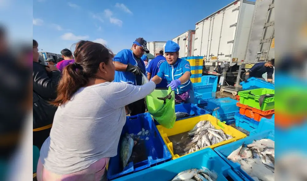 El consumo de pescado se triplicará en el feriado largo, según Produce. Foto: María Pía Ponce y Rosario Rojas/La República El consumo de pescado se triplicará en el feriado largo, según Produce. Foto: María Pía Ponce y Rosario Rojas/La República