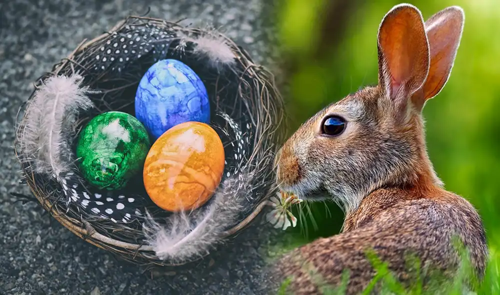 La diversión por encontrar los huevitos es entretenida; sin embargo, ¿sabes la historia del conejo tan especial en este día? Foto: composición LR/Pixabay