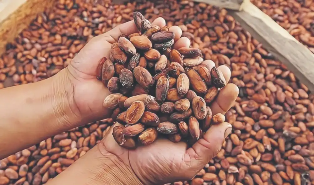 Destrabar. Recientemente, el Gobierno de Milei anunció una mayor flexibilización para las importaciones de productos de la canasta básica en la Argentina. Foto: difusión Destrabar. Recientemente, el Gobierno de Milei anunció una mayor flexibilización para las importaciones de productos de la canasta básica en la Argentina. Foto: difusión