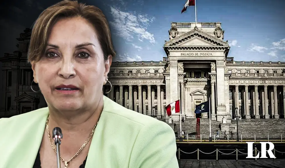 Dina Boluarte solicitó que se declaren nulos actos realizados por Fiscalía de la Nación. Foto: composición LR/difusión