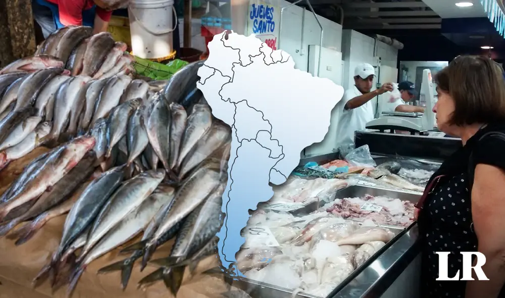 La Universidad de Harvard ha indicado que hay evidencia contundente de que el consumo de pescado beneficia la salud del corazón y los vasos sanguíneos. Foto: composición de Fabrizio Oviedo/LR/Freepick. Video: Sana Feliz y Radiante La Universidad de Harvard ha indicado que hay evidencia contundente de que el consumo de pescado beneficia la salud del corazón y los vasos sanguíneos. Foto: composición de Fabrizio Oviedo/LR/Freepick. Video: Sana Feliz y Radiante