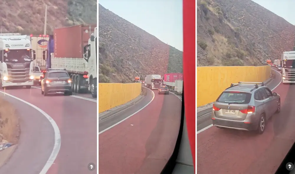 Las imágenes sacaron miles de sonrisas en redes sociales. Foto: composición LR/TikTok/@yoyote8