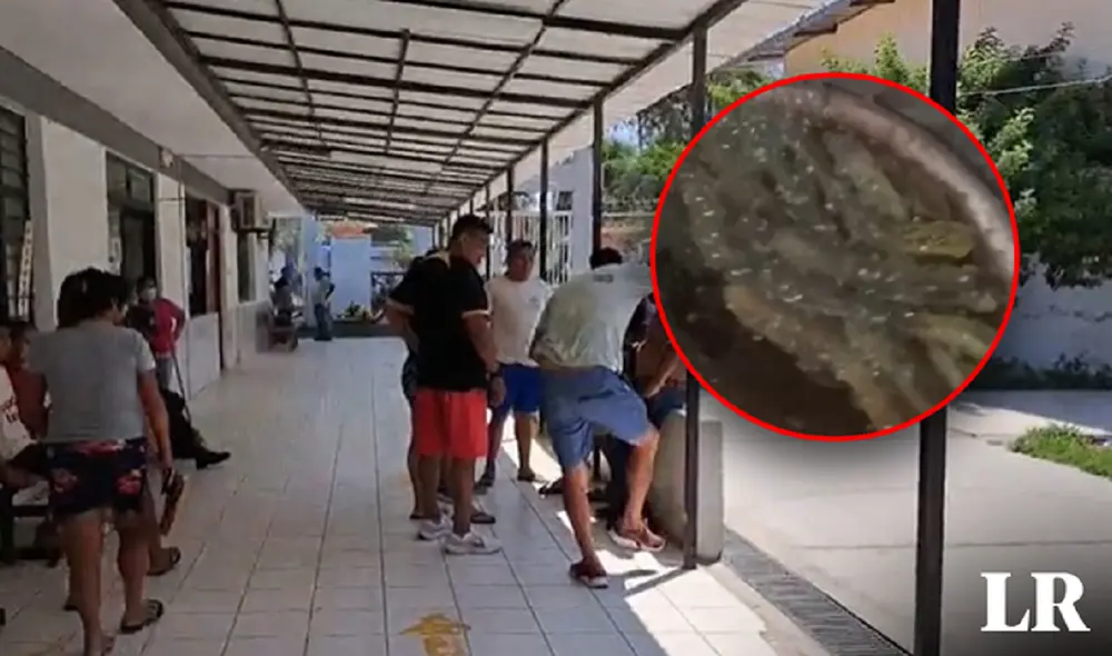 Vecinos llevaron a la víctima de enjambre de abejas hasta el centro de salud, pero fue demasiado tarde. Foto: composicón LR