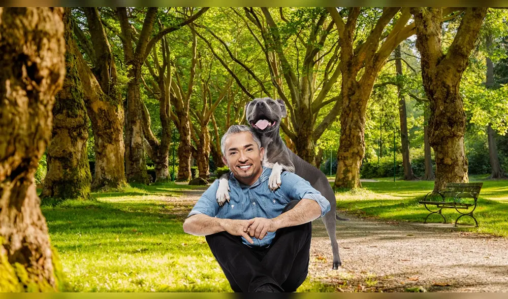 Descubre que lo llevó a tomar la decisión de cruzar la frontera entre México y Estados Unidos. Foto: Composición LR/ Twitter-X/unplash