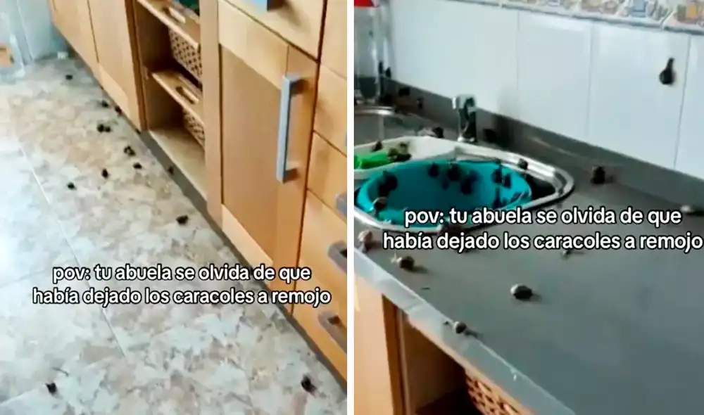 Las imágenes generaron una ola de comentarios en redes sociales. Foto: composición LR/TikTok/@abdreaxgxrcia