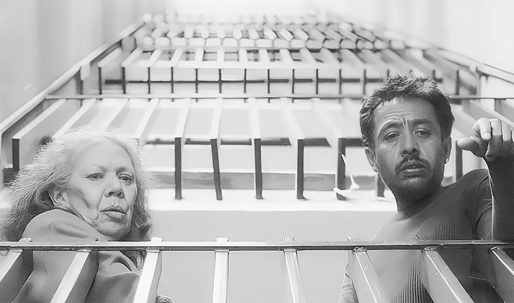 Ópera prima. No nos moverán promete una gran carrera. Foto: difusión