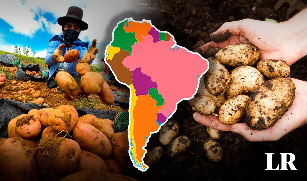 La producción del gigante asiático alcanzó 94,4 millones de toneladas en el 2022. Foto: composición LR/Andina