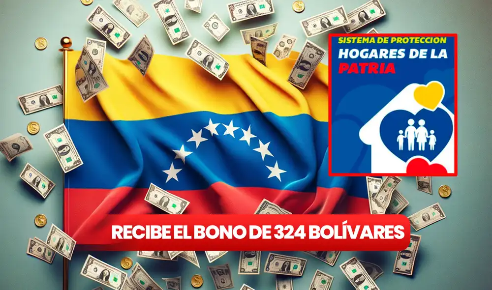 El Bono de Hogares de la Patria ofrece diversos pagos a las familias de acuerdo a la cantidad de integrantes. Foto: composición LR/ Sistema Patria/ Dalle