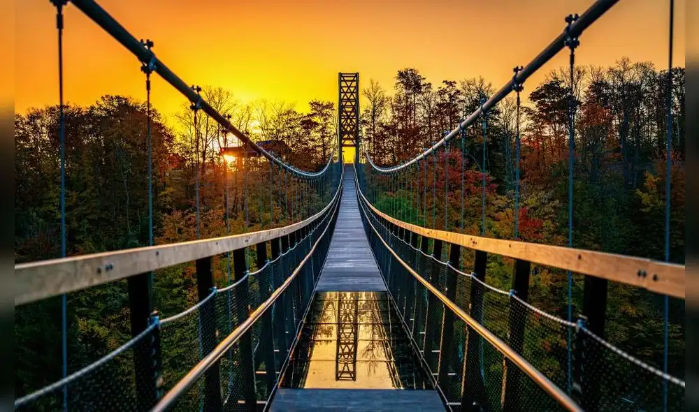 Este puente tiene accesibilidad durante todo el año para quienes quieran recorrerlo. Foto: Pure Michigan