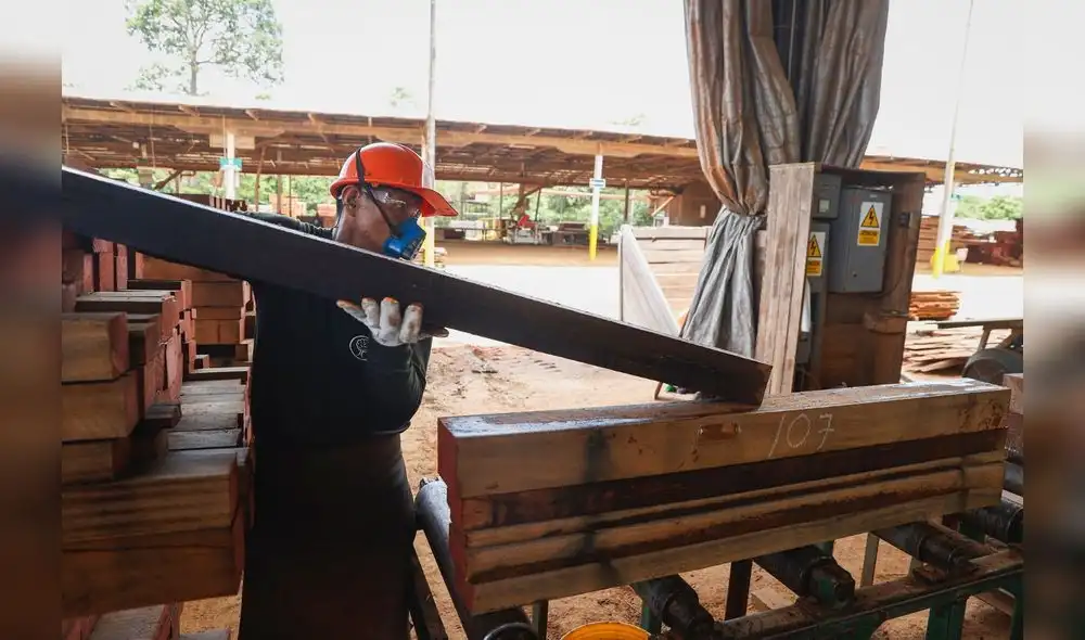 Encuesta de expectativas empresariales del BCRP. Más de 50 puntos es terreno positivo, menos que eso, terreno pesimista. Foto: Sunafil