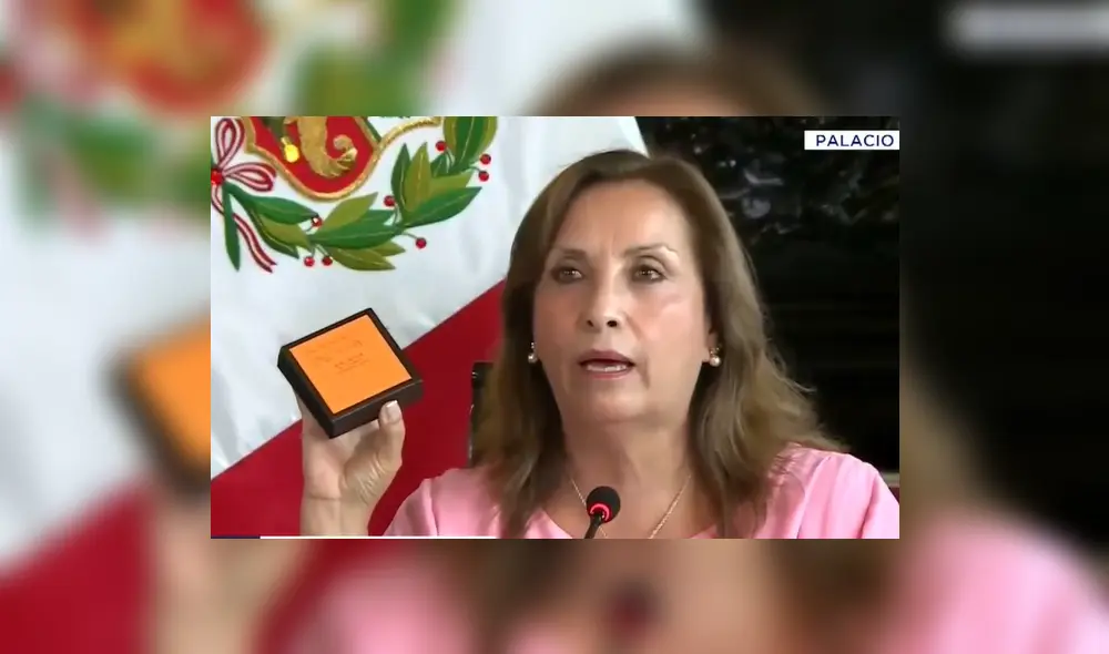 Dina Boluarte mostró una caja de la marca mencionada para reforzar su versión sobre el origen de sus joyas. Foto: captura de Canal N