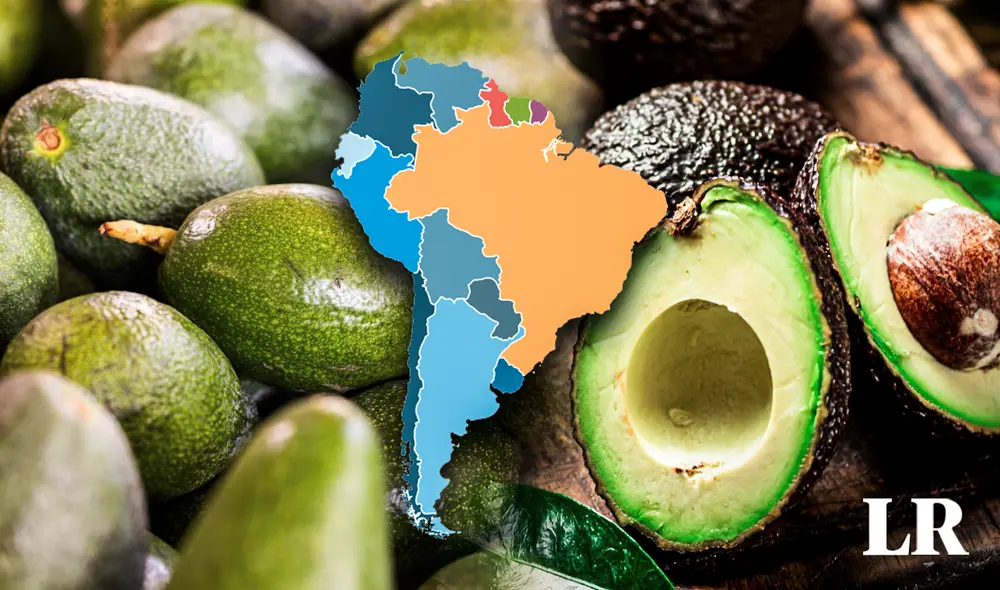 La palta es un alimento rico en calorías y proteínas. Este es el país que triunfa con su producción. Foto: composición Fabrizio Oviedo/Pexels