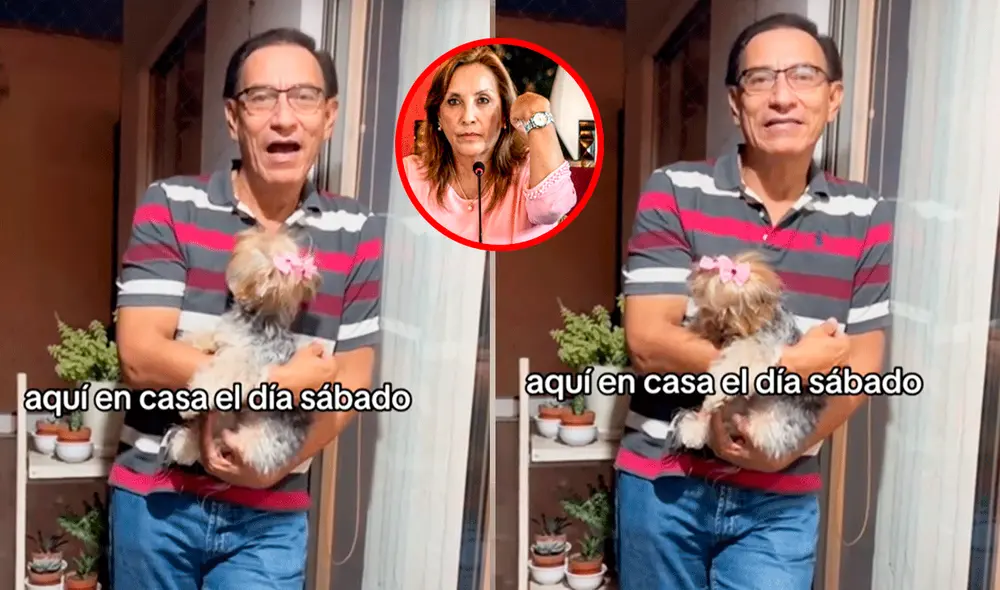 El video sacó miles de sonrisas en redes sociales. Foto: composición LR/TikTok/@mvizcarraperu El video sacó miles de sonrisas en redes sociales. Foto: composición LR/TikTok/@mvizcarraperu