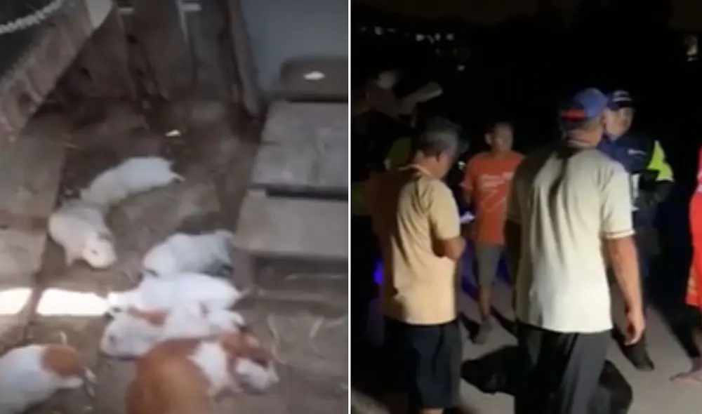 Vecinos instan a las autoridades a intervenir de manera inmediata. Foto: composición LR/captura América TV