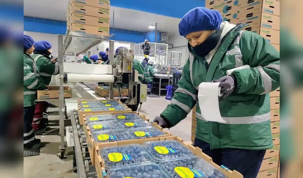 Solo en febrero, la balanza comercial agraria registró un superávit de US$933 millones. Foto: Gobierno del Perú Solo en febrero, la balanza comercial agraria registró un superávit de US$933 millones. Foto: Gobierno del Perú