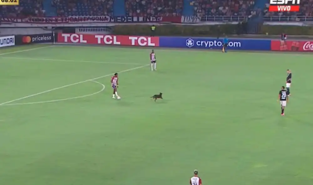 El can irrumpió el partido entre Universitario y Junior por la Copa Libertadores. Foto: captura/ESPN