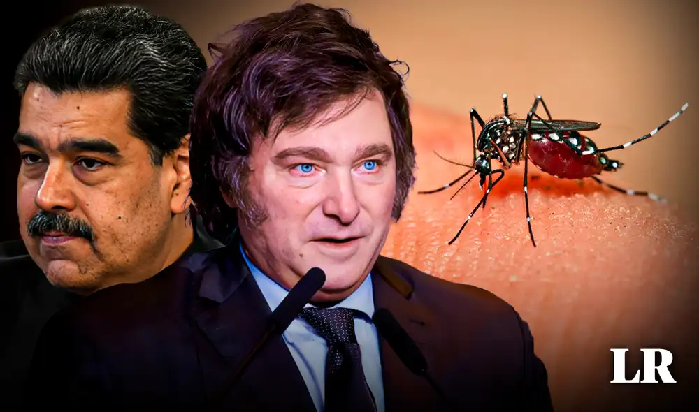 El último jueves 4 de abril, el Gobierno de Javier Milei decidió abrir la importación de repelentes de mosquitos por 30 días. Foto: composición de Jazmin Ceras/LR/AFP. Video: Ernesto Rondon El último jueves 4 de abril, el Gobierno de Javier Milei decidió abrir la importación de repelentes de mosquitos por 30 días. Foto: composición de Jazmin Ceras/LR/AFP. Video: Ernesto Rondon