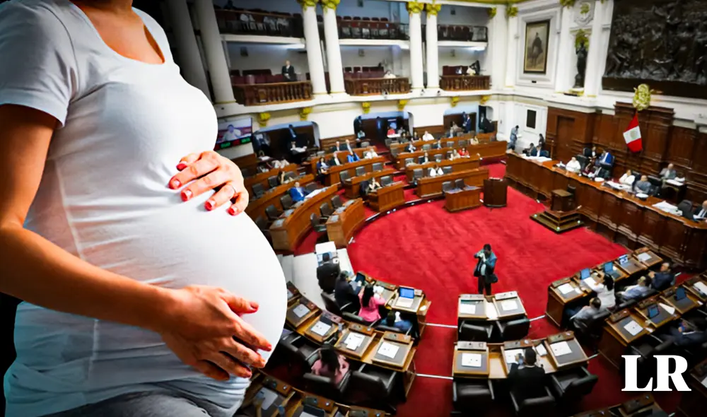 Ley también destaca el deber del Estado y la sociedad. Foto: composición LR/Difusión Ley también destaca el deber del Estado y la sociedad. Foto: composición LR/Difusión