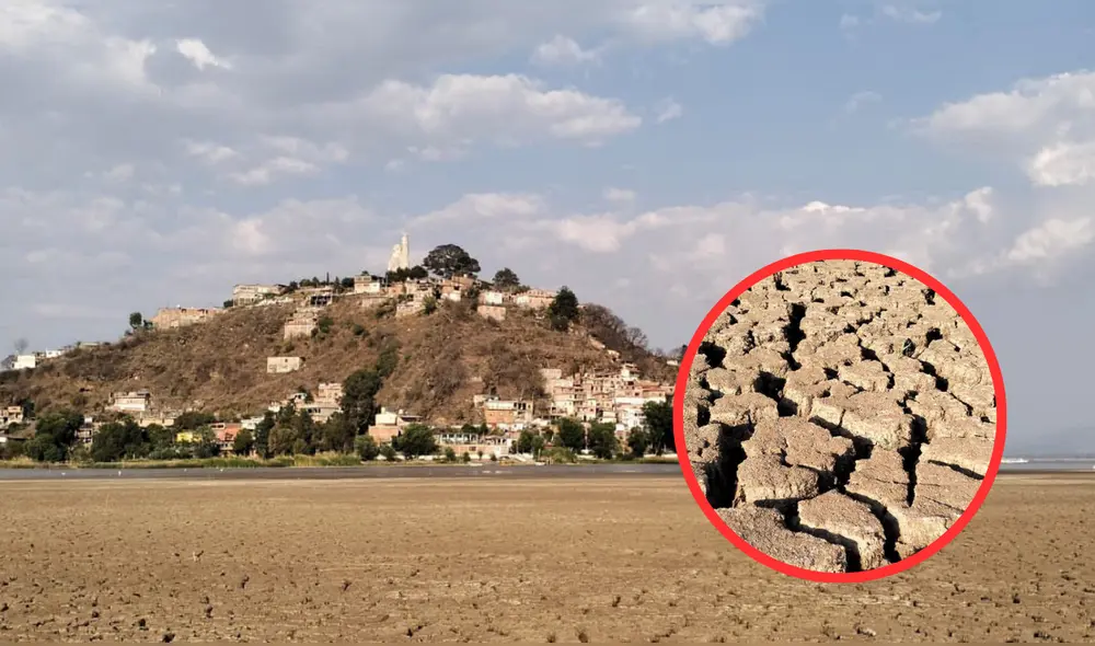 La crisis que atraviesa el Lago de Pátzcuaro ha llamado la atención de mucha gente. Foto: composición LR/Pixabay La crisis que atraviesa el Lago de Pátzcuaro ha llamado la atención de mucha gente. Foto: composición LR/Pixabay