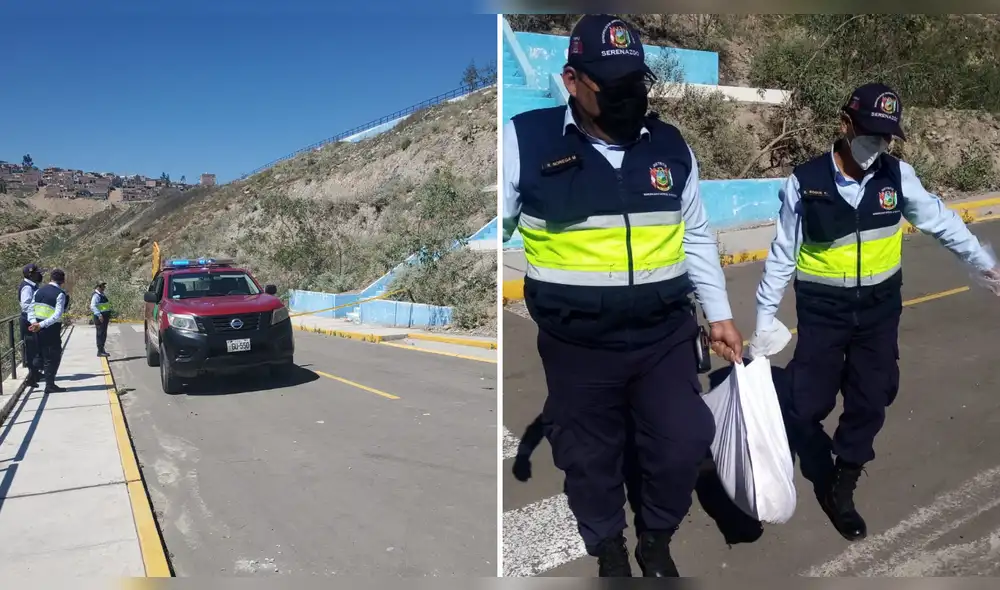 El inspector sanitario confirmó que los canes fueron envenenados. Foto: La República El inspector sanitario confirmó que los canes fueron envenenados. Foto: La República