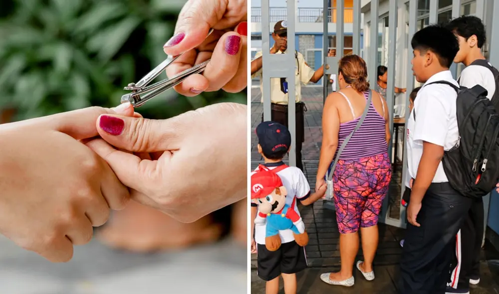 Las instituciones de educación básica en el Perú se distinguen por ser públicas o privadas. Foto: composición LR/Vecteezy/difusión