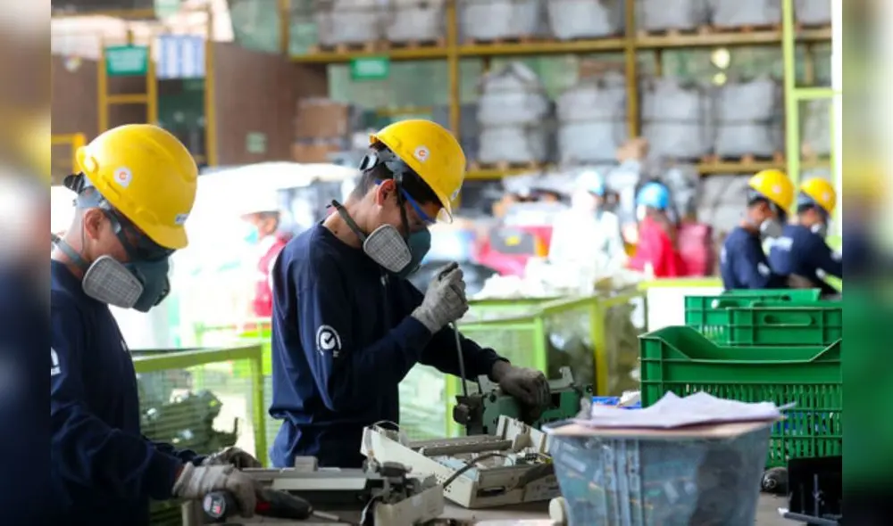 El 59% de encuestados registró una producción igual o superior a comparación del primer trimestre del 2023. Foto: Andina